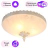 Потолочный светильник Arte Lamp с поддержкой Алиса A4541PL-3WG-A