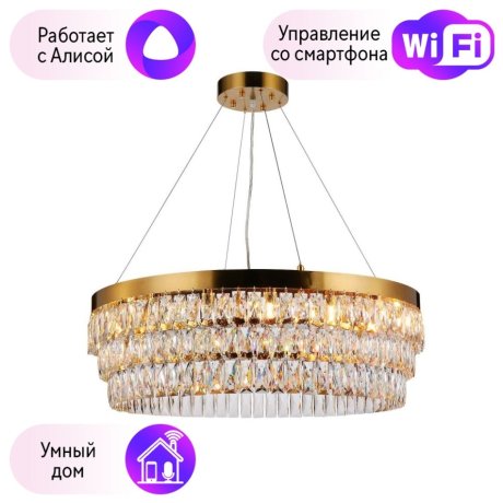 Подвесная люстра Favourite Magnitudo с поддержкой Алиса 2206-16P-A