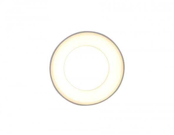 Накладной светильник Ambrella light Techno TN3411