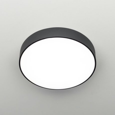 Потолочный светильник Citilux Тао CL712242N