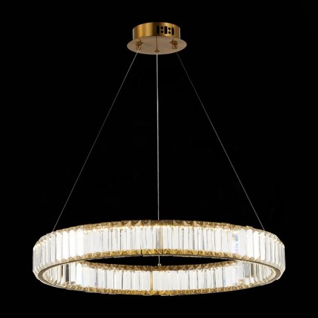 Подвесная светодиодная люстра ST Luce Tivoli SL1622.363.01