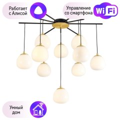 Потолочная люстра Favourite Paramount с поддержкой Алиса 3047-10P-A