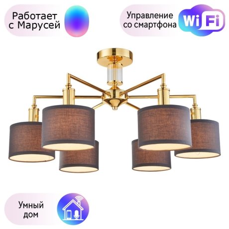 Потолочная люстра Favourite Laciness с поддержкой Маруся  2612-6P-М