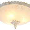Потолочный светильник Arte Lamp с поддержкой Маруся A4541PL-3WG-М