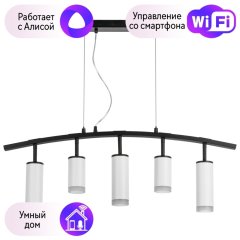 LR7353628630 Подвесной светильник Rullo Lightstar с поддержкой Алисы, (комплект из 571735+214436-2+214486-3+202430-5)