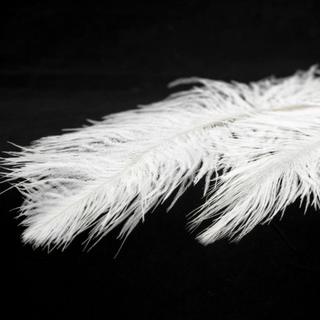 Подвесная люстра Lussole Loft Cuscino LSP-8601