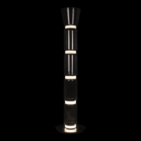 Торшер светодиодный Loft IT Noctambule 10193F/L