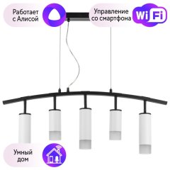 LR7353628631 Подвесной светильник Rullo Lightstar с поддержкой Алисы, (комплект из 571735+214436-2+214486-3+202431-5)