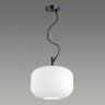 Светильник с лампочкой Odeon Light Roofi 4754/1+Lamps