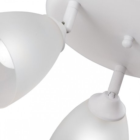 V4355-0/3PL Спот Vitaluce