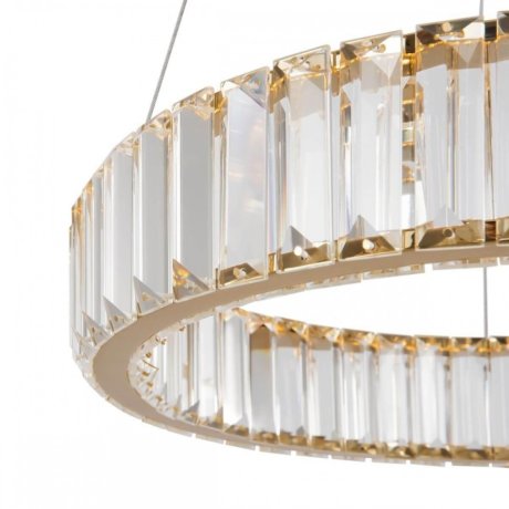 Подвесная диммируемая люстра с пультом ДУ Freya Tier FR5257PL-L17G