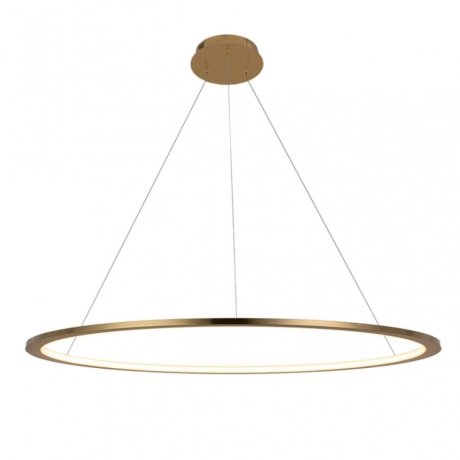 Светильник подвесной светодиодный LOFTIT Ring 10014L
