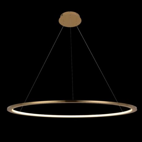 Светильник подвесной светодиодный LOFTIT Ring 10014L