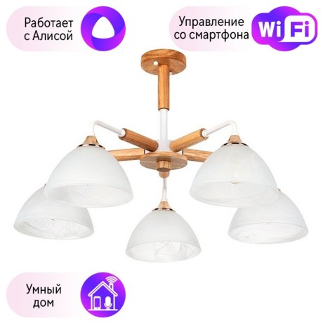 Потолочная люстра на штанге Matthew Arte Lamp с поддержкой Алиса A5032PL-5BR-A
