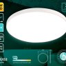 Потолочный светильник Ambrella light Air FZ1202