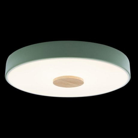 Потолочный светодиодный светильник Axel Loft It 10003/24 Green