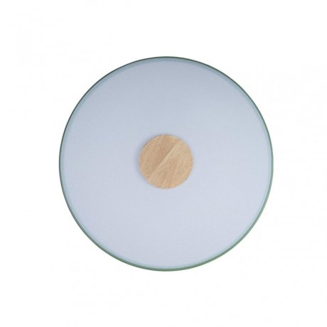 Потолочный светодиодный светильник Axel Loft It 10003/24 Green