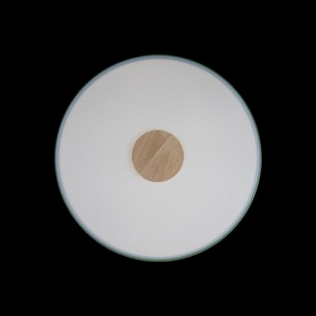 Потолочный светодиодный светильник Axel Loft It 10003/24 Green