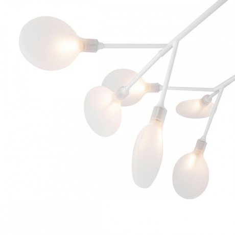 Потолочная люстра Freya Florencia FR5049CL-27W2