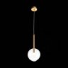 Светильник подвесной Sofio ST-Luce SL1054.203.01