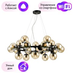 Подвесная люстра Arte Lamp с поддержкой Алиса A1664SP-25BK-A