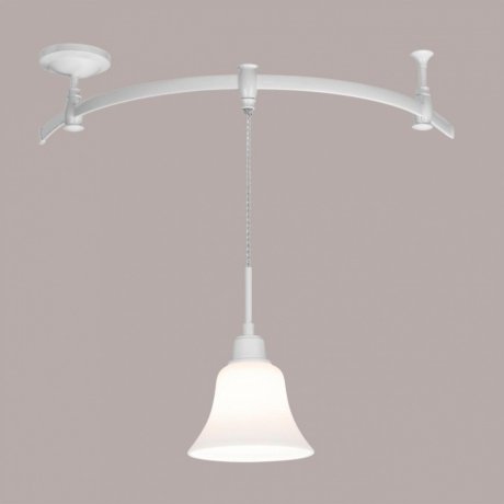 Однофазный светильник на посвесе для гибкого шинопровода Citilux Модерн CL560210