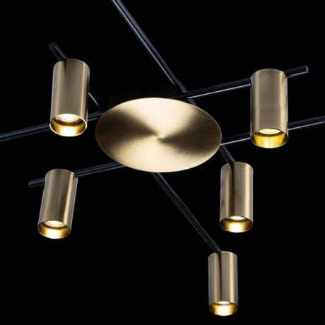 Люстра потолочная Loft It Tribes 8120C-10