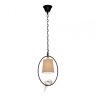 Подвесной светильник Loft IT Loft1029A-1