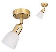 Спот Escada 5039/1PA