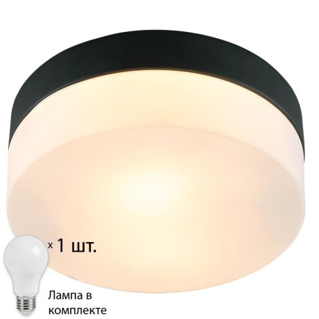 Светильник с лампочкой Arte lamp Aqua-tablet A6047PL-1BK+Lamps