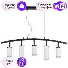 LR7353638620 Подвесной светильник Rullo Lightstar с поддержкой Алисы, (комплект из 571735+214436-3+214486-2+202430-5)