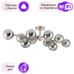 Потолочная люстра Favourite Varietas с поддержкой Алиса 2650-10U-A