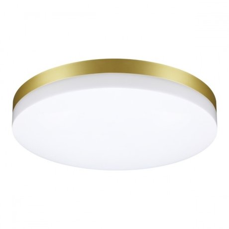 Уличный настенно-потолочный светильник Novotech Opal 358892