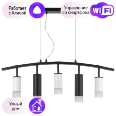 LR7353638721 Подвесной светильник Rullo Lightstar с поддержкой Алисы, (комплект из 571735+214436-3+214487-2+202431-5)