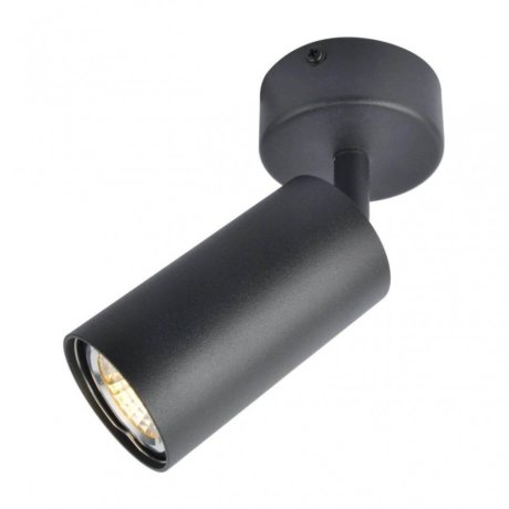 Спот Arte Lamp Aquarius A3216PL-1BK