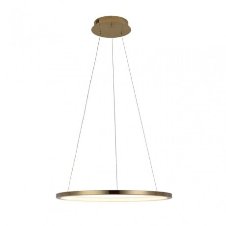 Светильник подвесной светодиодный Loft It Ring 10014M