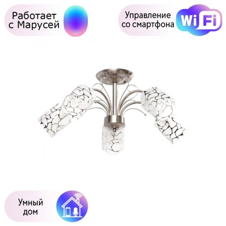 Потолочная люстра MW-Light Олимпия с поддержкой Маруся 261019505-М