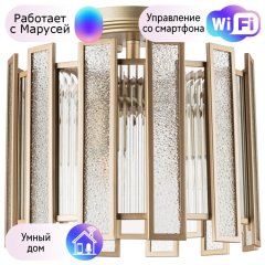 Потолочный светильник Lightstar с поддержкой Маруся Agave 712042