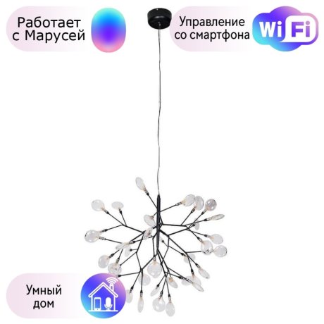 Подвесная люстра Crystal Lux с поддержкой Маруся Evita SP36 BLACK/TRANSPARENT (1690/236)-М