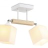 Спот Ambrella light Traditional TR9511