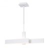 Подвесной светодиодный светильник Ambrella light ACRYLICA FA6666