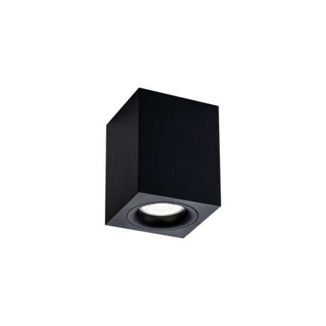 Потолочный светильник Maytoni Alfa C013CL-01B