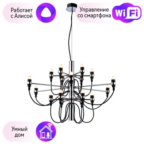 Подвесная люстра DIVINARE MOLTO с поддержкой Алиса 8030/02 LM-18-A