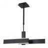 Подвесной светодиодный светильник Ambrella light ACRYLICA FA6667