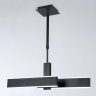 Подвесной светодиодный светильник Ambrella light ACRYLICA FA6667