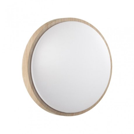 Настенно-потолочный светильник с пультом ДУ Sonex Losta 7607/DL