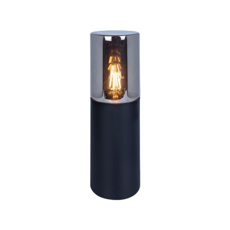Ландшафтный светильник Arte Lamp Wanz A6218FN-1BK