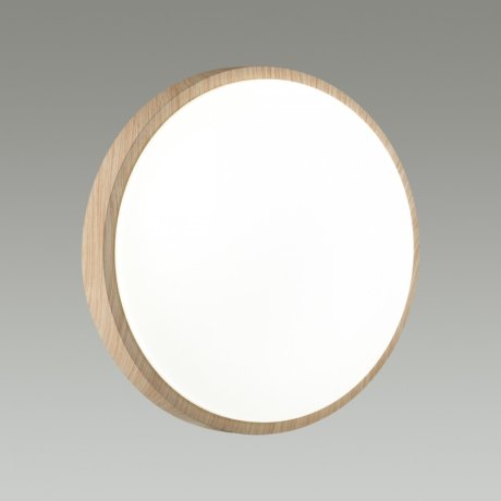 Настенно-потолочный светильник с пультом ДУ Sonex Losta 7607/EL