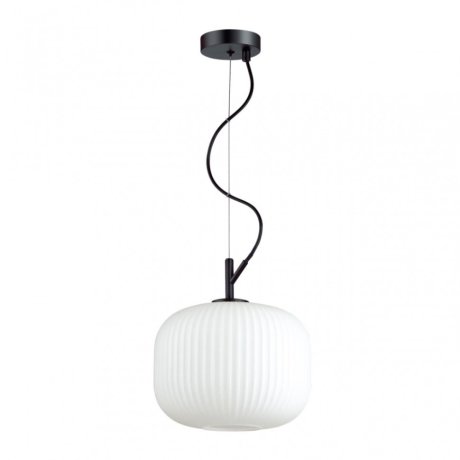 Светильник с лампочкой Odeon Light Roofi 4753/1+Lamps