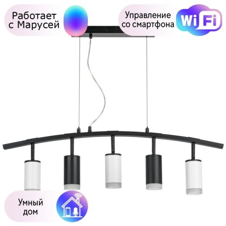 LR7353723630 Подвесной светильник Rullo Lightstar с поддержкой Маруся (комплект из 571735+214437-2+214436-3+202430-5)